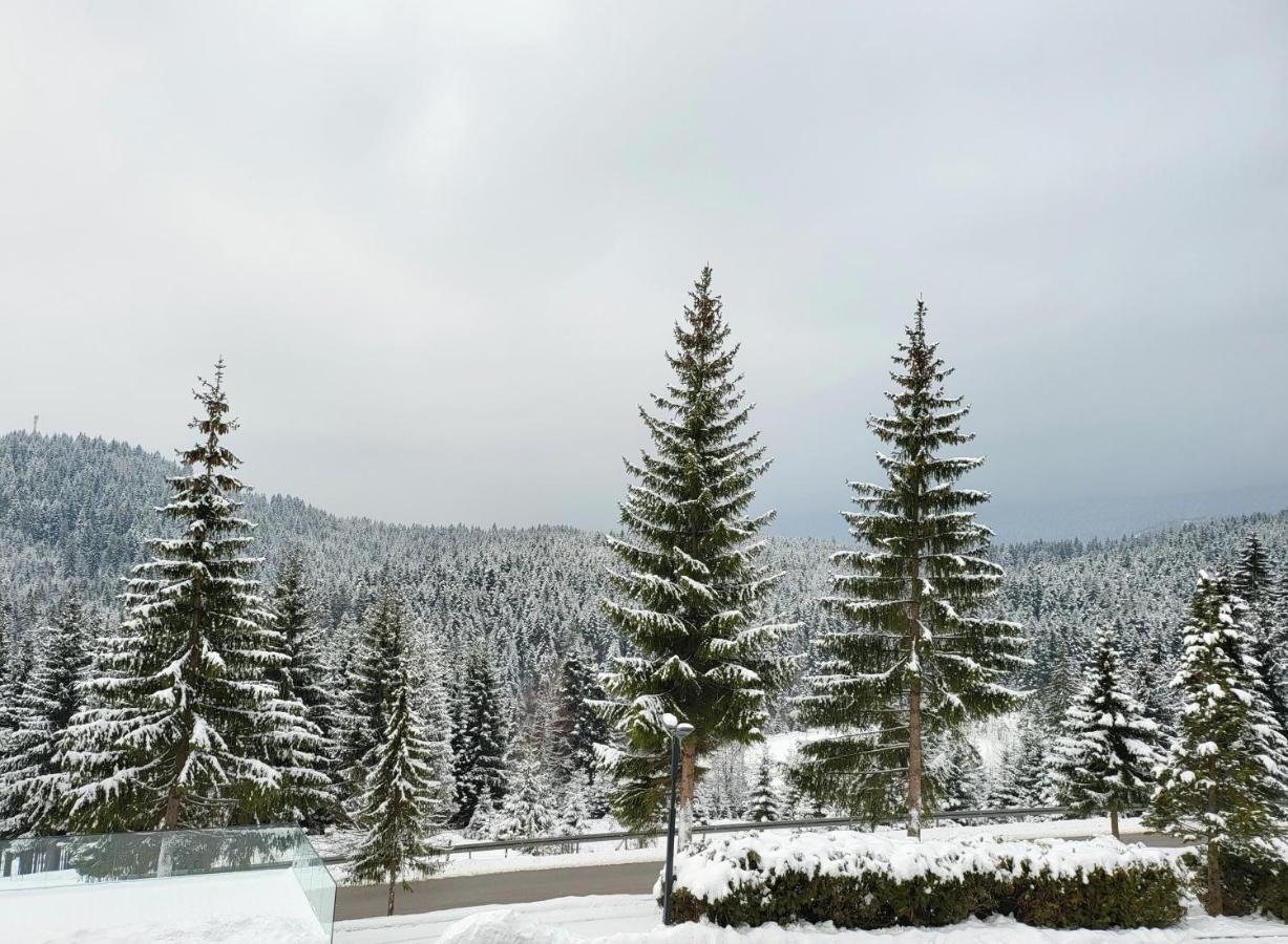 Hotel Forest Pale Εξωτερικό φωτογραφία
